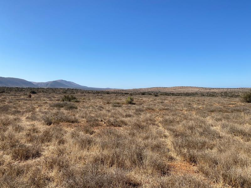 0 Bedroom Property for Sale in Kirkwood Eastern Cape